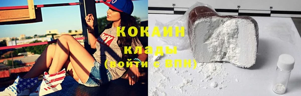трава Гусиноозёрск