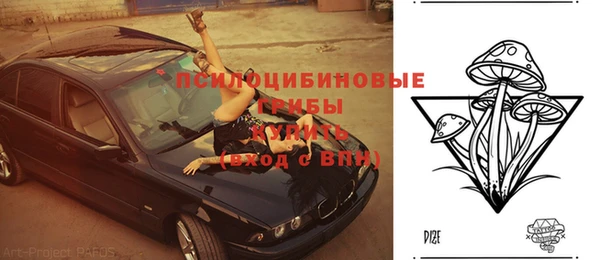 гидропоника Гусь-Хрустальный
