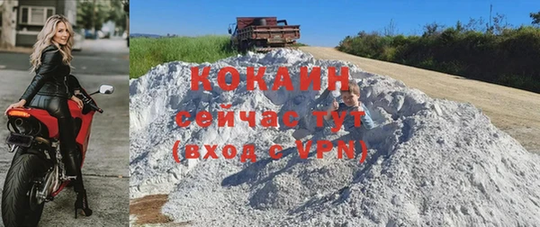 трава Гусиноозёрск
