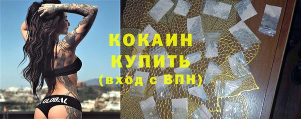 трава Гусиноозёрск
