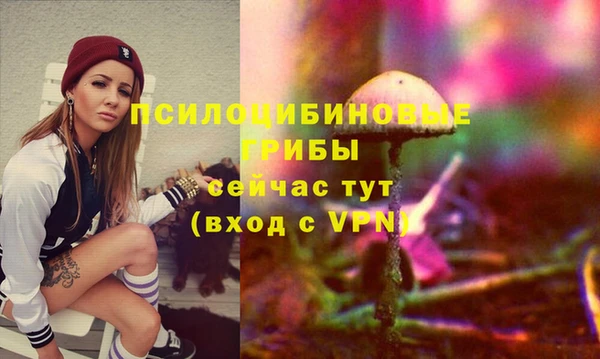 гидропоника Гусь-Хрустальный