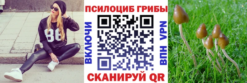 Псилоцибиновые грибы Psilocybine cubensis  ссылка на мегу   Нязепетровск 